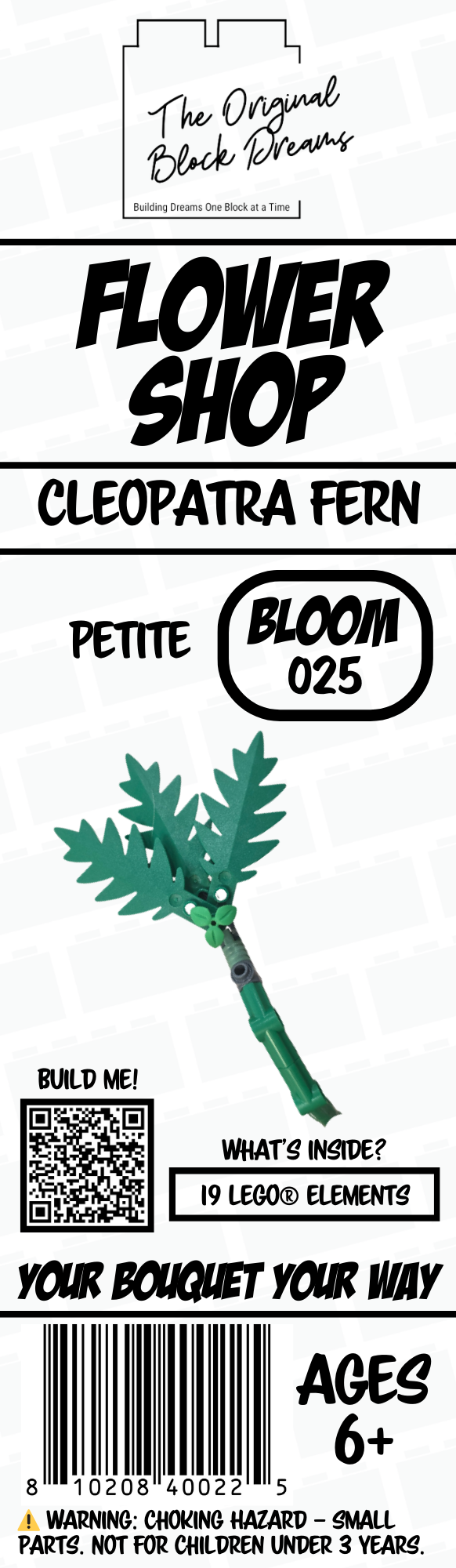 Petite Cleopatra Fern – 1pk – Bloom 025