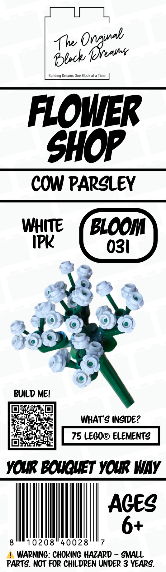 Cow Parsley – White – 1pk – Bloom 031