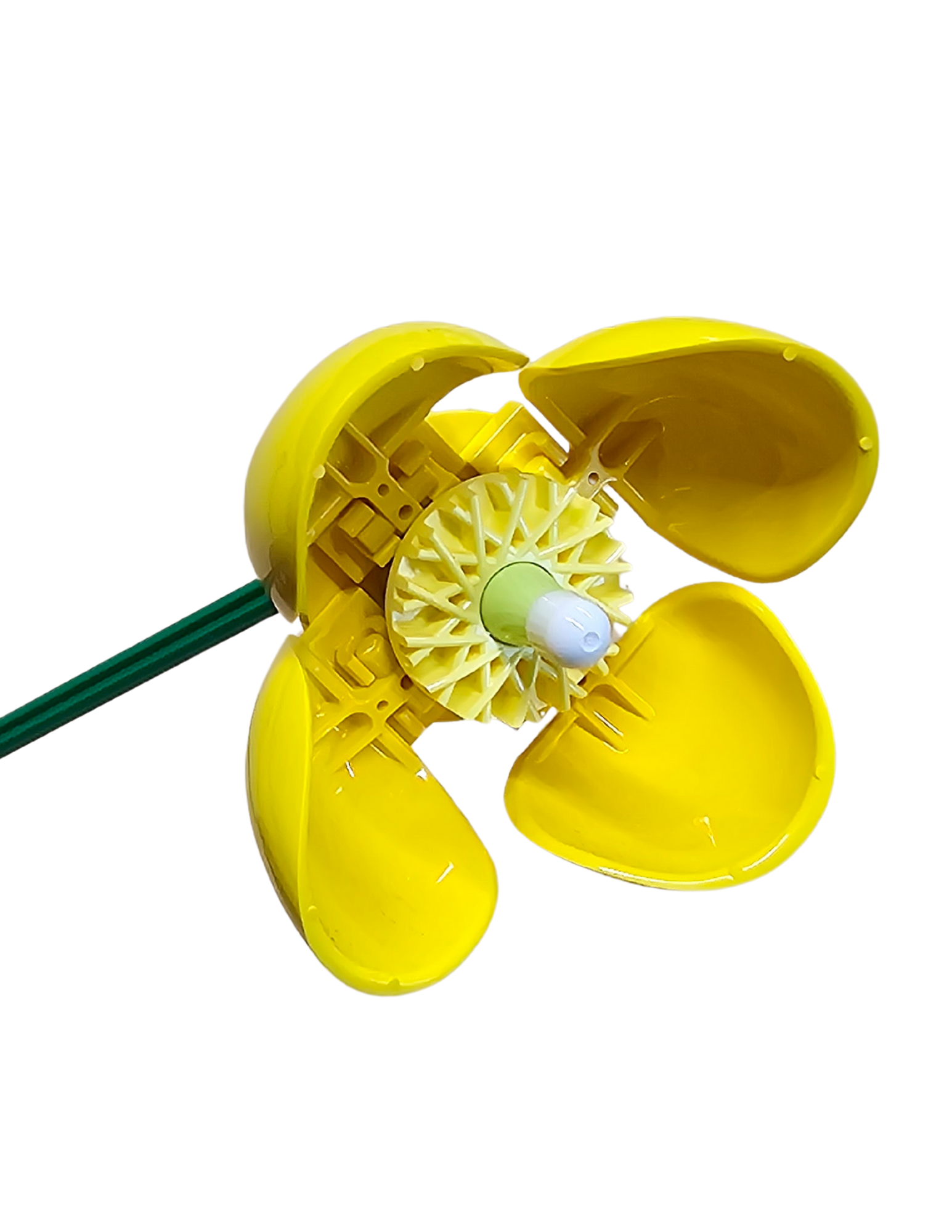 Welsh Poppy – Yellow – 2pk – Bloom 046